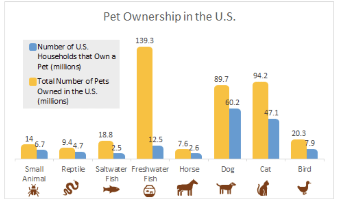 How to Market and Introduce Pet Products